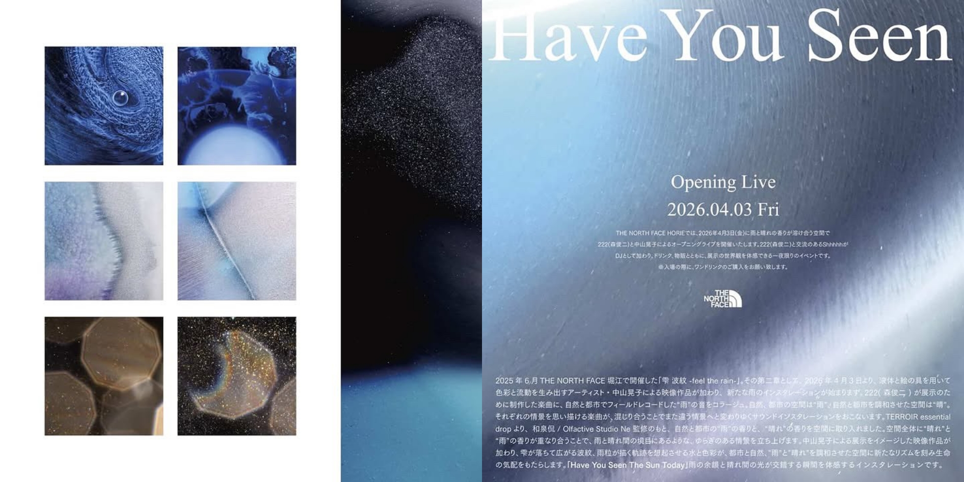 Have You Seen The Sun Todayイメージ